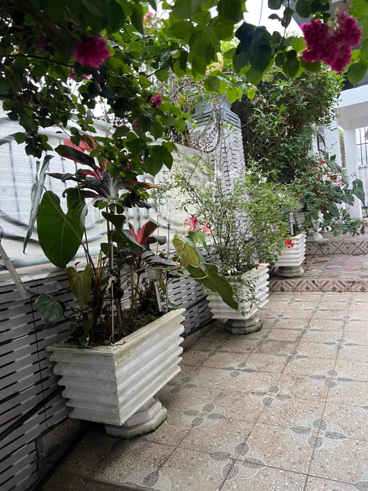 Apartament Apex Guest Facility Buea Zewnętrze zdjęcie